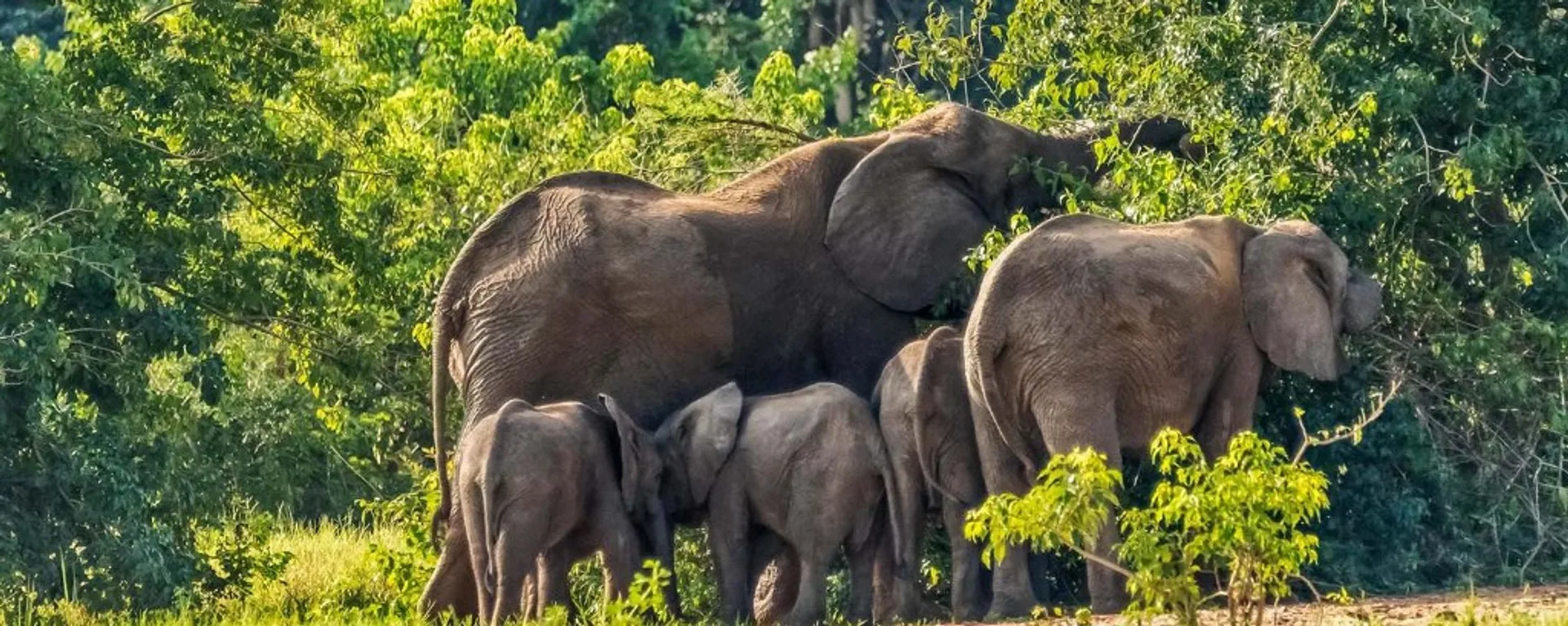 Karuma Wildlife Reserve