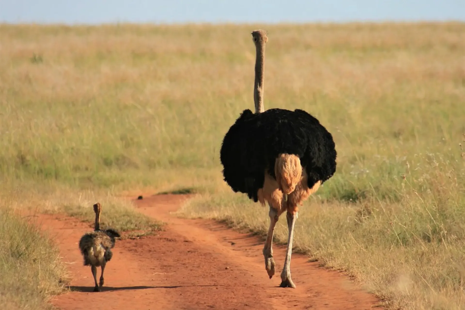 Matheniko Wildlife Reserve