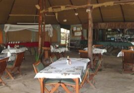 Aruba Mara Camp