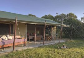 Asilia Encounter Mara Camp