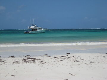 Diani Beach & Safari Tours Book Kenya Safaris From Diani