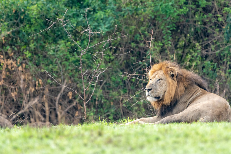 Discover Queen Elizabeth National Park