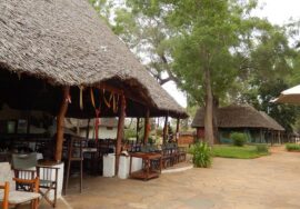 Galana Crocodile Camp