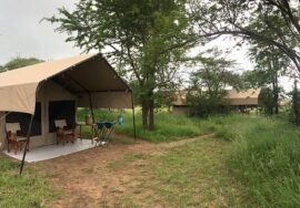 Kati Kati Camp