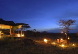 Kicheche Valley Camp Masai Mara