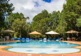 Kongoni Nanyuki Camp