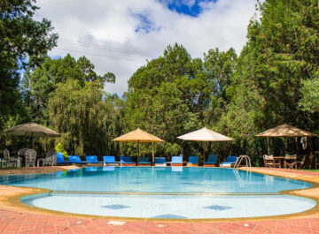 Kongoni Nanyuki Camp