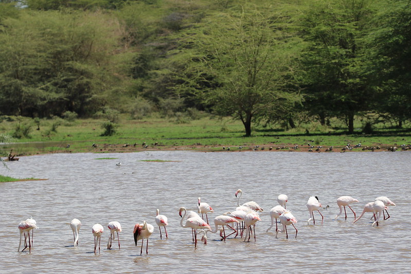 LAKE MANYARA NATIONAL PARK – TANZANIA