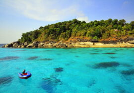Lamu Island tour Mombasa air safari