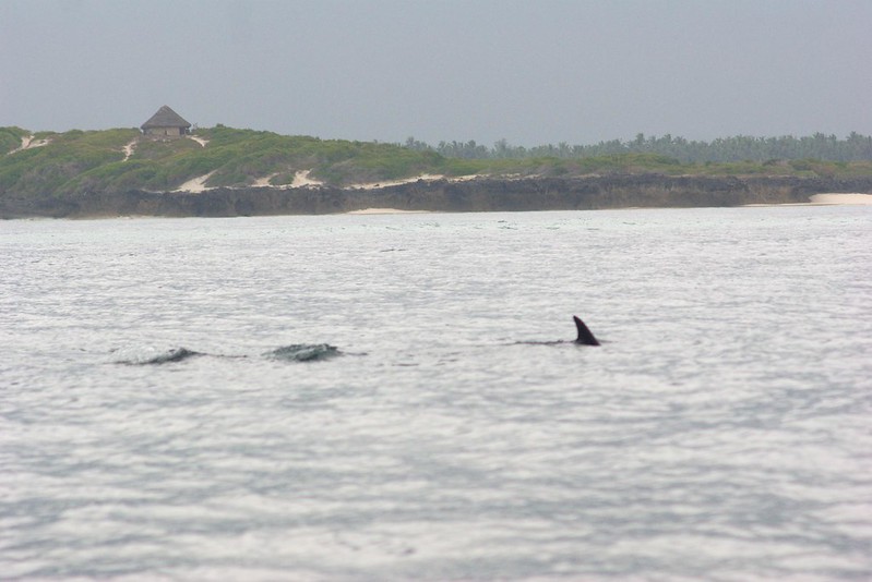 MALINDI & WATAMU