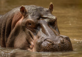 MERU NATIONAL PARK