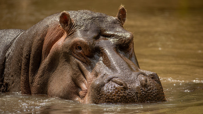 MERU NATIONAL PARK