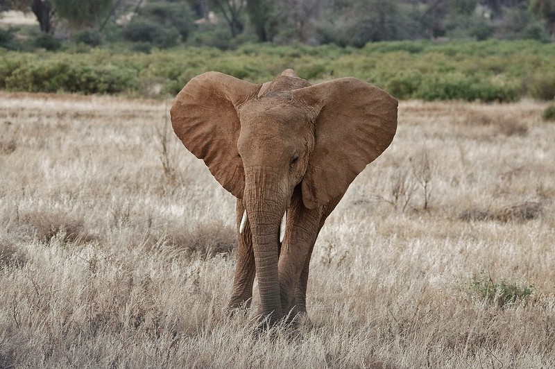 Nairobi Day Trips Things to Do