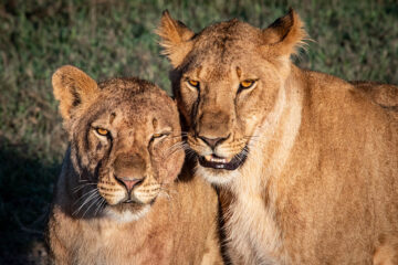 OL PEJETA CONSERVANCY
