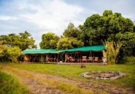 Offbeat Mara Camp