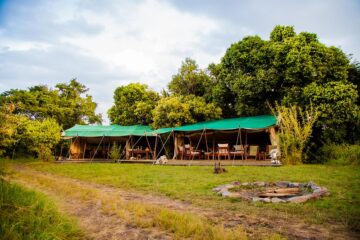 Offbeat Mara Camp