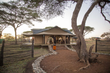 Ole Serai Luxury Camp - Turner Springs