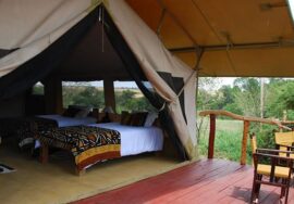 Olumara Camp