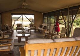 Ol Kinyei conservancy