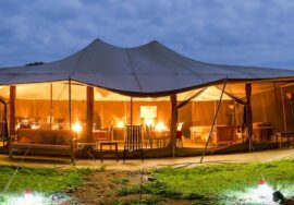 Porini Lion Camp Masai Mara