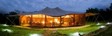 Porini Lion Camp Masai Mara