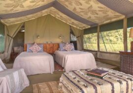 Richard’s River Camp Masai Mara
