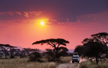 SERENGETI NATIONAL PARK