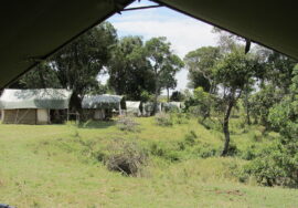 Safaris Unlimited Masai Mara