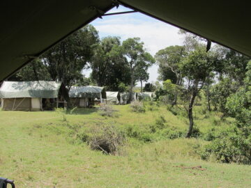 Safaris Unlimited Masai Mara