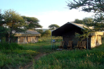 Serengeti Wild camp Tanzania