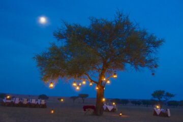 Serengeti Wildebeest Camp Tanzania