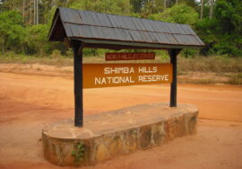 Shimba Hills National Park Day Trip
