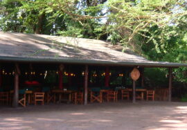 Siana Springs