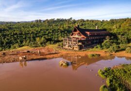 The Ark Lodge