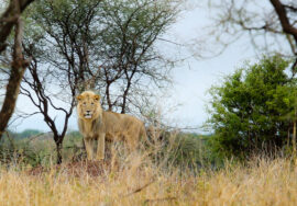 The best time to visit africa