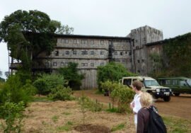 Treetops Lodge