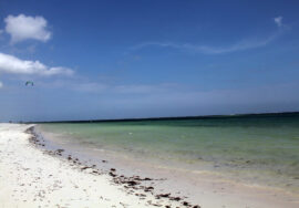 Vibrant Vacations to the Kenyan Coast