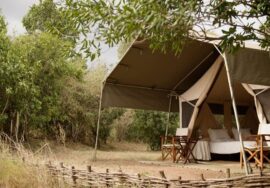 Alex Walker’s Serian Masai Mara