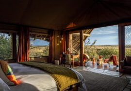 Asilia Encounter Mara Camp