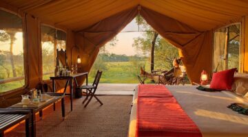Elephant Pepper Camp Masai Mara