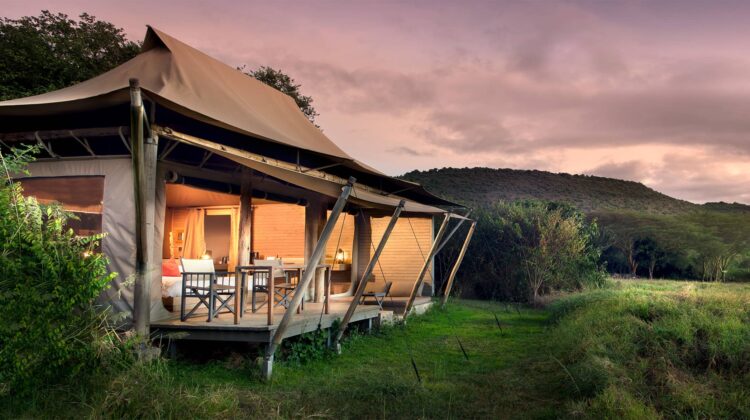 Explore Nature Mara Lodge