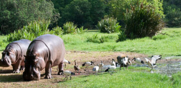 HALLER PARK SANCTUARY