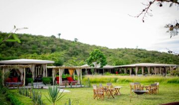Mara Plains Camp