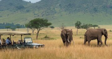 Mara Triangle Conservancy