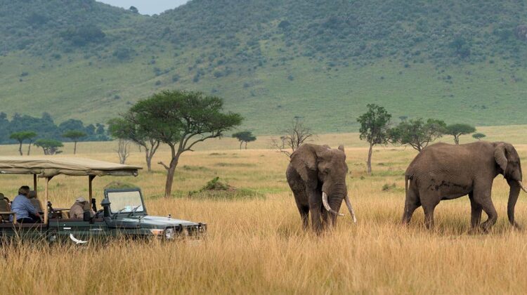 Mara Triangle Conservancy