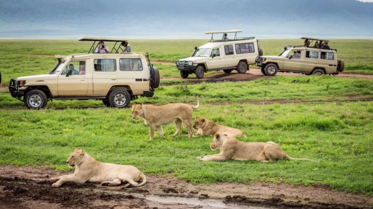 Mombasa, Masai Mara, Lake Nakuru, Samburu, Economy, Safari, Air-Road