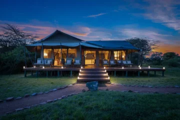 Porini Lion Camp Masai Mara