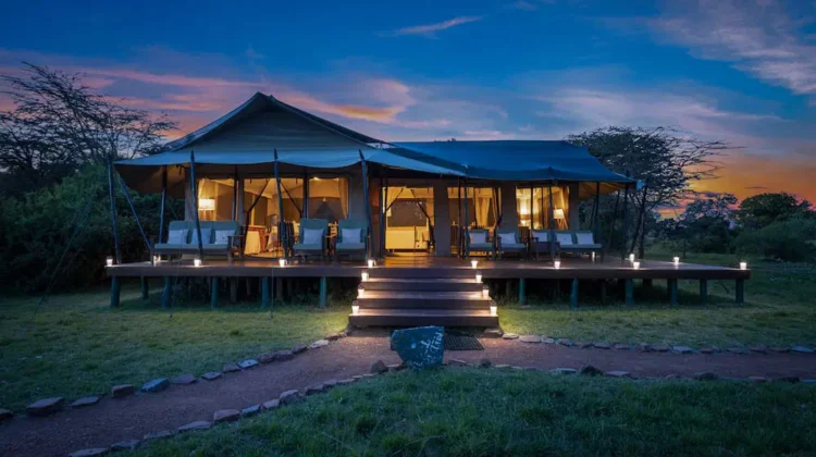 Porini Lion Camp Masai Mara
