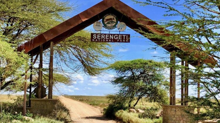 SERENGETI NATIONAL PARK
