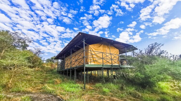 Serengeti Ikoma Wild camp Tanzania